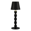 
                    Настольная лампа ST Luce Ease SL1011.404.01        
    