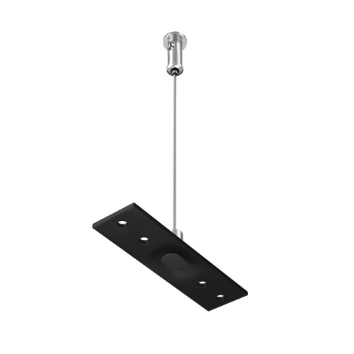
                    Подвес Maytoni Technical Exility Busbur TRA034SW-2B        
    