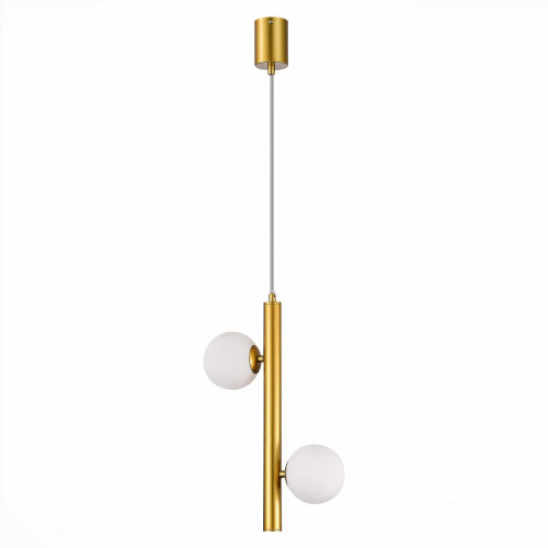 
                    Подвесная люстра ST Luce Asolo SL1185.203.02        
    