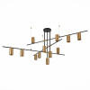 
                    Подвесная люстра ST Luce Sormano SL1206.402.12        
    