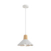 
                    Подвесной светильник Lumion SUSPENTIONI 8352/1A        
    