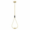 
                    Подвесной светильник Odeon Light Pendant Flari 4810/1        
    