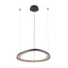 
                    Подвесной светодиодный светильник Arte Lamp Cinta A1847SP-36BK        
    