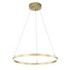 
                                            Подвесной светодиодный светильник Escada Void 10254/1LED Gold APP                    
                