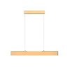 
                    Подвесной светодиодный светильник Maytoni Step P010PL-L23G3K        
    