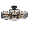 
                    Потолочная люстра Arte Lamp Maasym A7044PL-6BK        
    