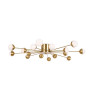 
                    Потолочная люстра Freya Celebrity FR5242CL-16BS        
    