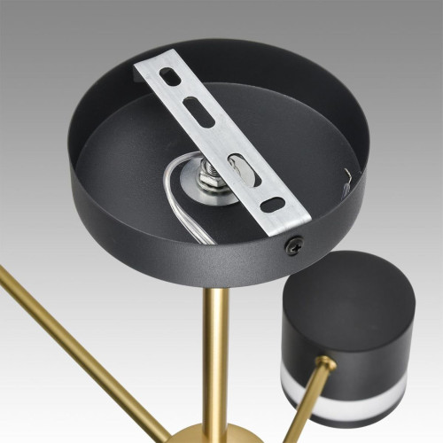 
                    Потолочная люстра Lumion Comfi Lanika 8240/6C        
    