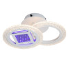
                                            Потолочная светодиодная люстра Escada Mira 10214/2LED                    
                