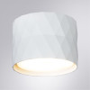 
                    Потолочный светильник Arte Lamp Fang A5552PL-1WH        
    