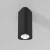 
                    Потолочный светильник Elektrostandard 25110/LED a067064        
    