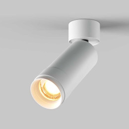 Потолочный светильник Maytoni Technical C055CL-L12W2.7K-Z-W