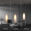 
                    Потолочный светильник Maytoni Technical C055CL-L12W4K-SS-B        
    