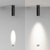 
                    Потолочный светильник Maytoni Technical C055CL-L12W4K-SS-B        
    
