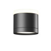 
                    Потолочный светильник Maytoni Technical C120CL-GX53-B        
    