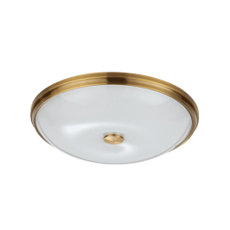 Потолочный светильник Odeon Light Walli Pelow 4956/5