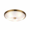 
                    Потолочный светильник Odeon Light Walli Pelow 4956/5        
    