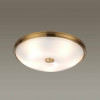 
                    Потолочный светильник Odeon Light Walli Pelow 4956/5        
    