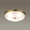 
                    Потолочный светильник Odeon Light Walli Pelow 4956/5        
    