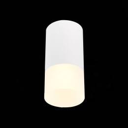 Потолочный светильник ST Luce ST100.512.01