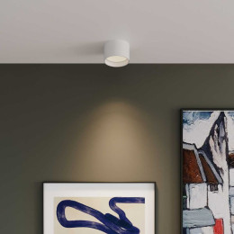 Потолочный светодиодный светильник Elektrostandard 25123/Led Banti 13Вт 4200K a058846