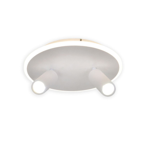 
                                            Потолочный светодиодный светильник Escada 20046SMA/02LED WH                    
                
