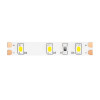 
                    Светодиодная лента Maytoni Technical 4,8W/m 60LED/m 2835SMD дневной белый 5M 10103        
    