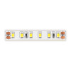 
                    Светодиодная лента ST Luce ST1001.310.65        
    