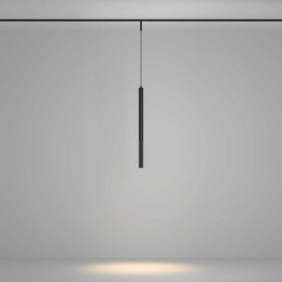 Трековый подвесной светильник Maytoni Technical TR179-1-5WTW-M-B