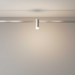 Трековый светильник Maytoni Technical TR145-1-3W3K-W-PT