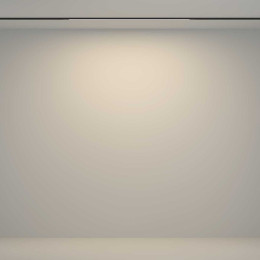 Трековый светильник Maytoni Technical TR180-1-12WTW-B