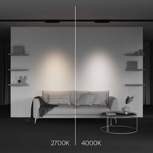 
                    Трековый светодиодный светильник Maytoni Technical Points TR195-3-10W2.7K-M-B        
    