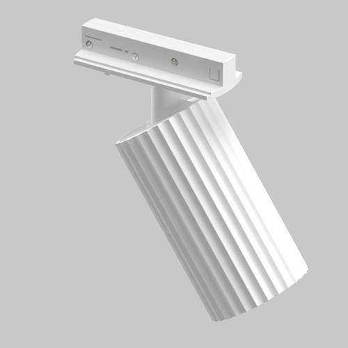 
                    Трековый светильник Maytoni Technical Unity Calipso TR218-1-GU10-W        
    