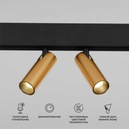 Трековый светодиодный светильник Elektrostandard (Умный дом) Slim Magnetic Dim Dual 85056/01 латунь a063527