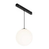 
                    Трековый светодиодный светильник Maytoni Technical Luna TR039-2-5W4K        
    