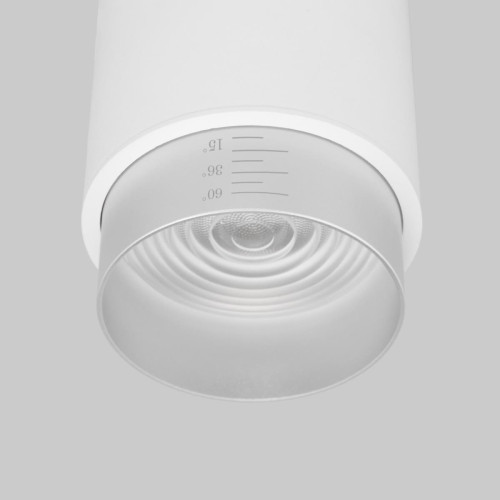 
                    Накладной светодиодный светильник Elektrostandard Cors 25032/LED белый/серебро a062387        
    