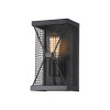 
                    Настенный светильник Favourite Mesh 1784-1W        
    