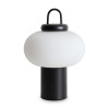 
                    Настольная лампа Freya Take FR6175TL-L10B        
    