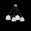 
                    Подвесная люстра Freya Barbara FR5004PL-04CH        
    