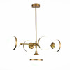 
                    Подвесная люстра ST Luce Arbe SL1157.303.05        
    