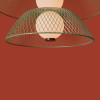
                    Подвесной светильник Freya Modern FR5545PL-L5GN        
    