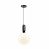 
                    Подвесной светильник Odeon Light Pendant Okia 4671/1        
    