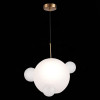 
                    Подвесной светильник ST Luce Bopone SL1133.503.01        
    