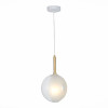 
                    Подвесной светильник ST Luce Foligno SL1183.503.01        
    