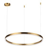 
                    Подвесной светодиодный светильник Lumion Ledio Echo 6531/50L        
    