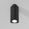 
                    Потолочный светильник Elektrostandard 25110/LED a067065        
    