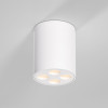 
                    Потолочный светильник Elektrostandard 25111/LED a067482        
    