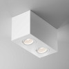 
                    Потолочный светильник Maytoni Technical Atom C017CL-02W        
    