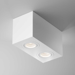 Потолочный светильник Maytoni Technical Atom C017CL-02W