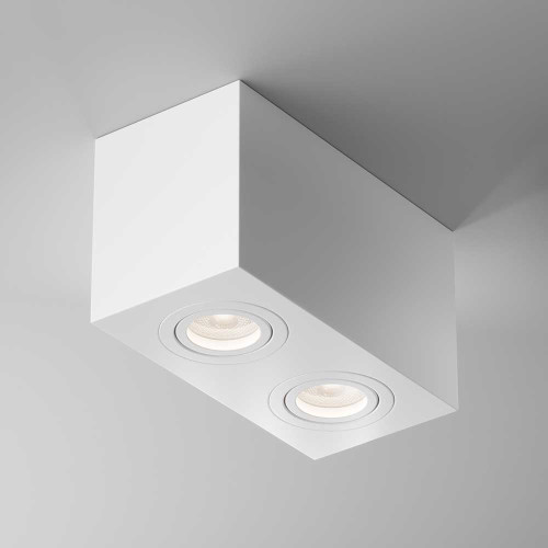 
                    Потолочный светильник Maytoni Technical Atom C017CL-02W        
    